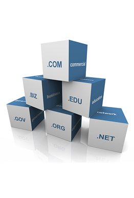 Domain & DNS Management